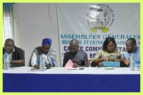 Vue partielle des participants à l'atelier de formation sur (préciser le thème)